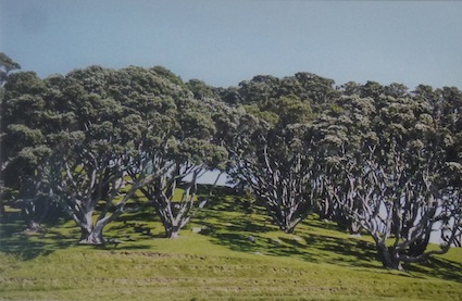 Anne Owen | Pohutakawa  Cluster | McATamney Gallery | Geraldine NZ